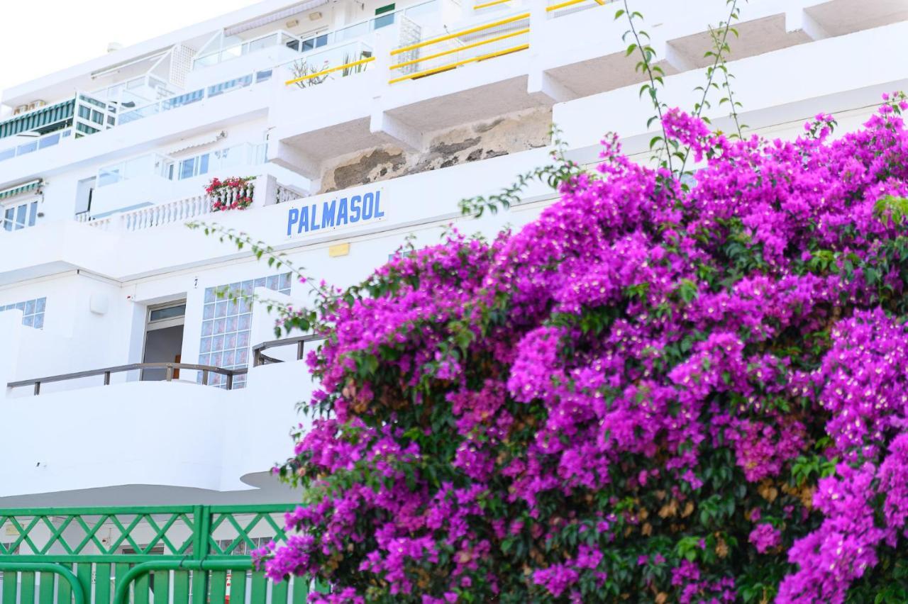 Palmasol Apartamentos 푸에르토리코 외부 사진